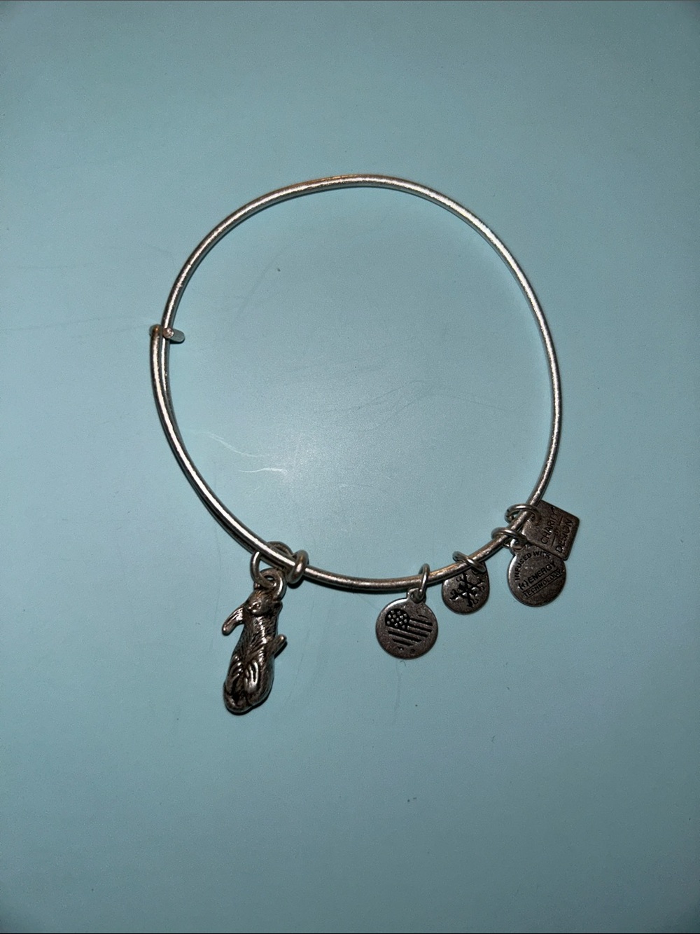 Silver Charm Bangle Bracelet with Fish and Coin Charms
